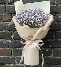 Букет цветов из:  Гипсофила в Поселок опытного хозяйства Ермолино