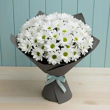 Букет цветов из:  Хризантемы в Поселок опытного хозяйства Ермолино