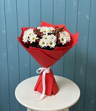 Букет цветов из:  Хризантемы в Поселок опытного хозяйства Ермолино