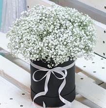 Цветочная композиция из Гипсофила в шляпной коробке #REPLACE_PRED# Поселок опытного хозяйства Ермолино