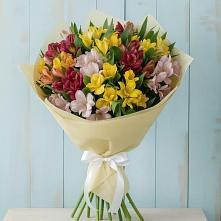 Букет цветов из:  Альстромерии в Поселок опытного хозяйства Ермолино
