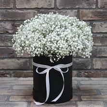 Цветочная композиция из Гипсофила в шляпной коробке в Поселок опытного хозяйства Ермолино